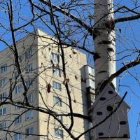 IMG-20220423-WA0008