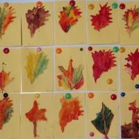 IMG-20221007-WA0050