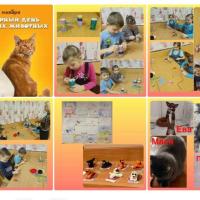 IMG-20221215-WA0005