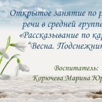 Слайд1